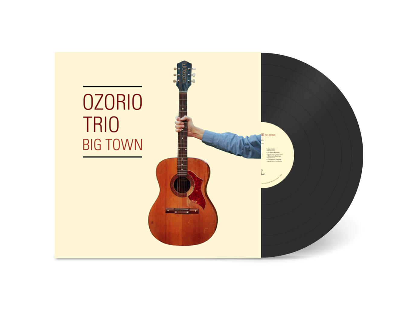 Vinyl Lp